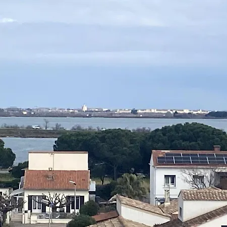 Vue